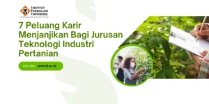 peluang karir