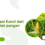 Kemandirian Pangan, diversifikasi pangan, ketahanan pangan