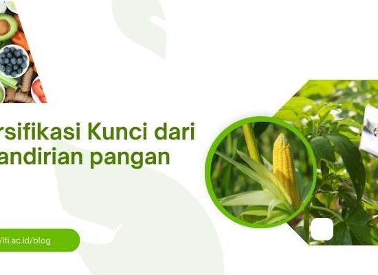 Kemandirian Pangan, diversifikasi pangan, ketahanan pangan